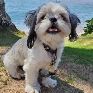 Meet your Posher, Bonnie